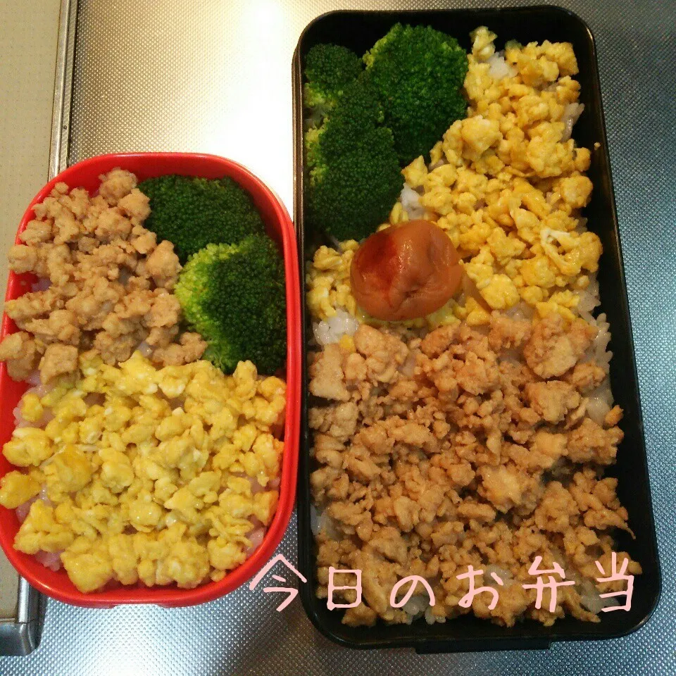 今日のお弁当 パパ&高校生娘ちゃん(*^^*)|sakuhimaさん