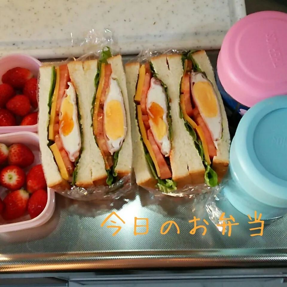 Snapdishの料理写真:今日のお弁当 高校生娘ちゃん&小学生娘ちゃん(*^^*)|sakuhimaさん