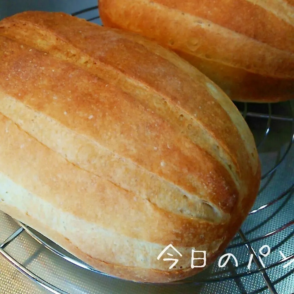 今日のパン ソフトミルクフランス|sakuhimaさん