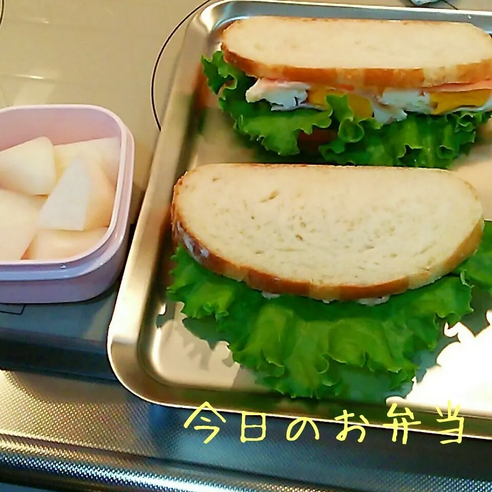 Snapdishの料理写真:今日のお弁当 小学生娘ちゃん(*^^*)|sakuhimaさん