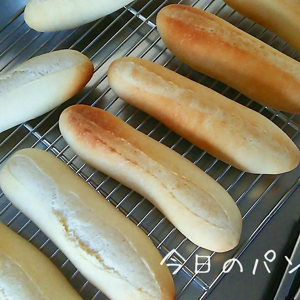 今日のパン ホットドッグバンズ|sakuhimaさん