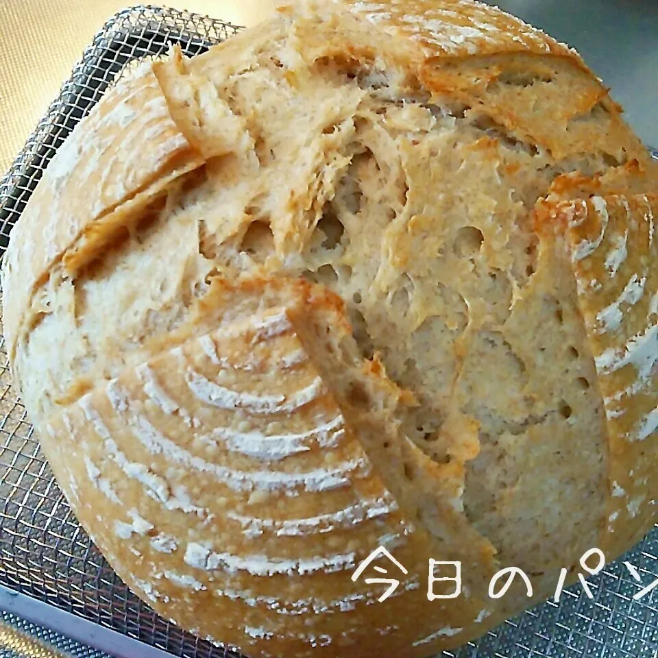 今日のパン カンパーニュ|sakuhimaさん