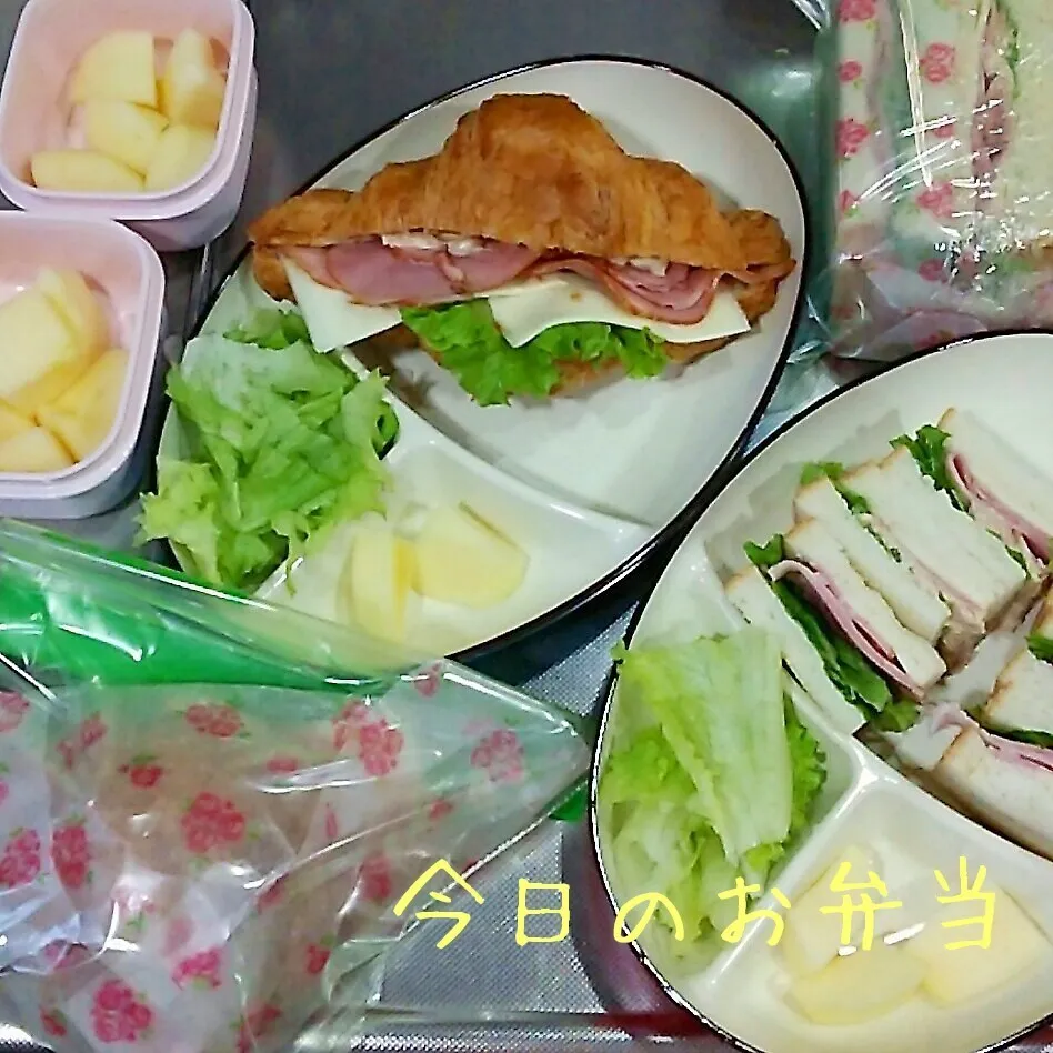 今日のお弁当 高校生娘ちゃん&小学生娘ちゃん(*^^*)|sakuhimaさん