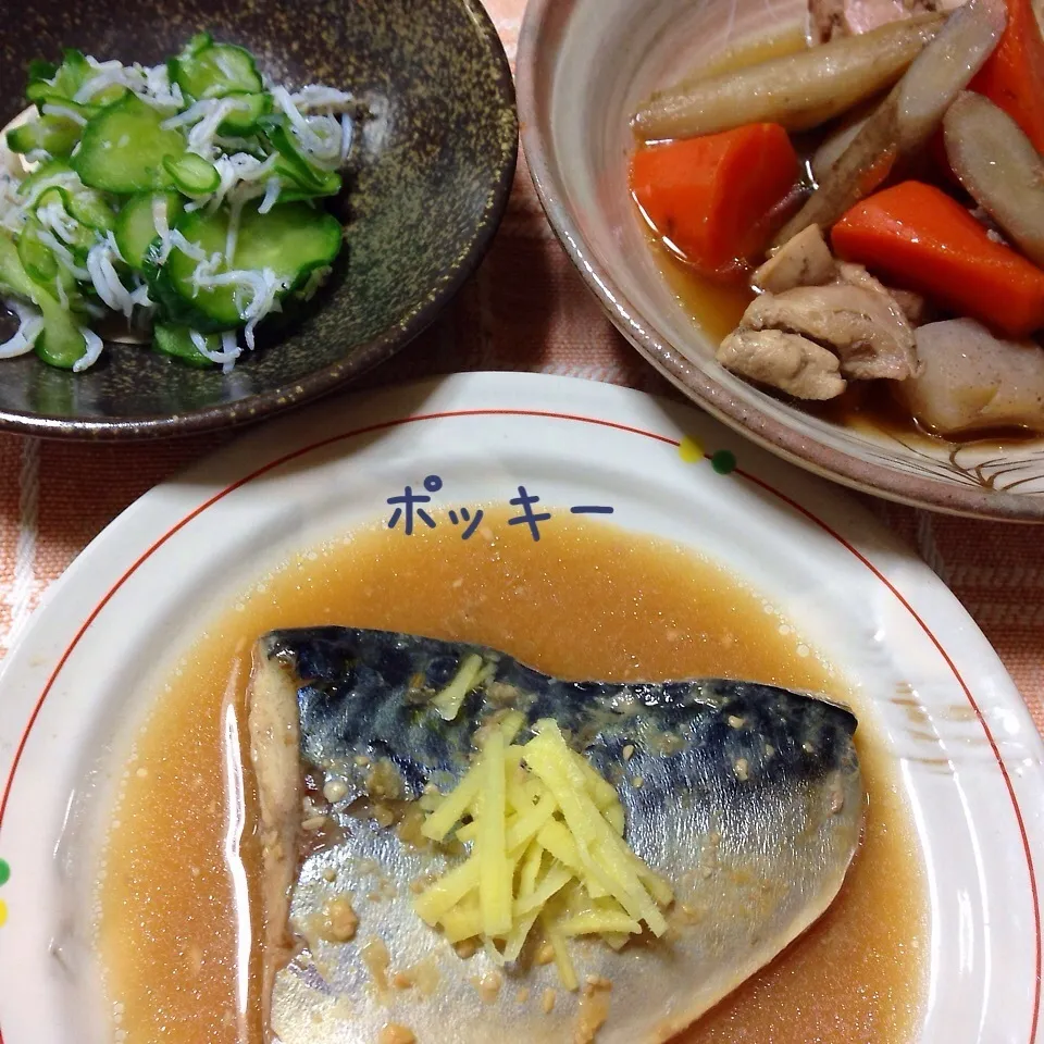 Snapdishの料理写真:今夜の夕飯(^^;;  鯖の味噌煮など(^^)|ミントさん