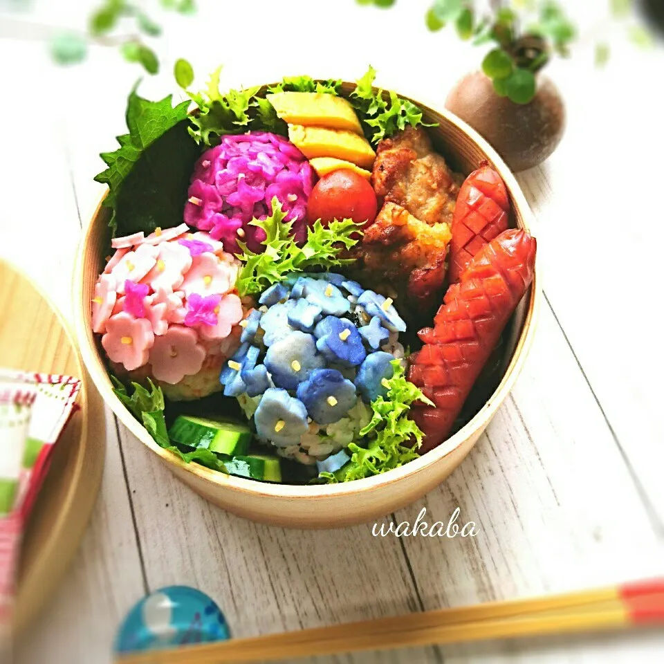 🍀紫陽花弁当🍀|若葉さん