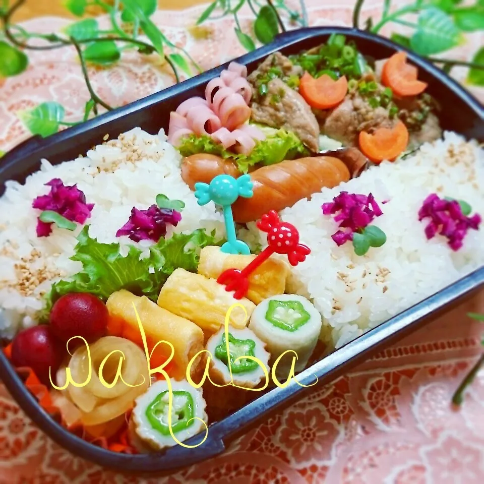 簡単味噌豚🐷とマネッコご飯のお弁当♪|若葉さん