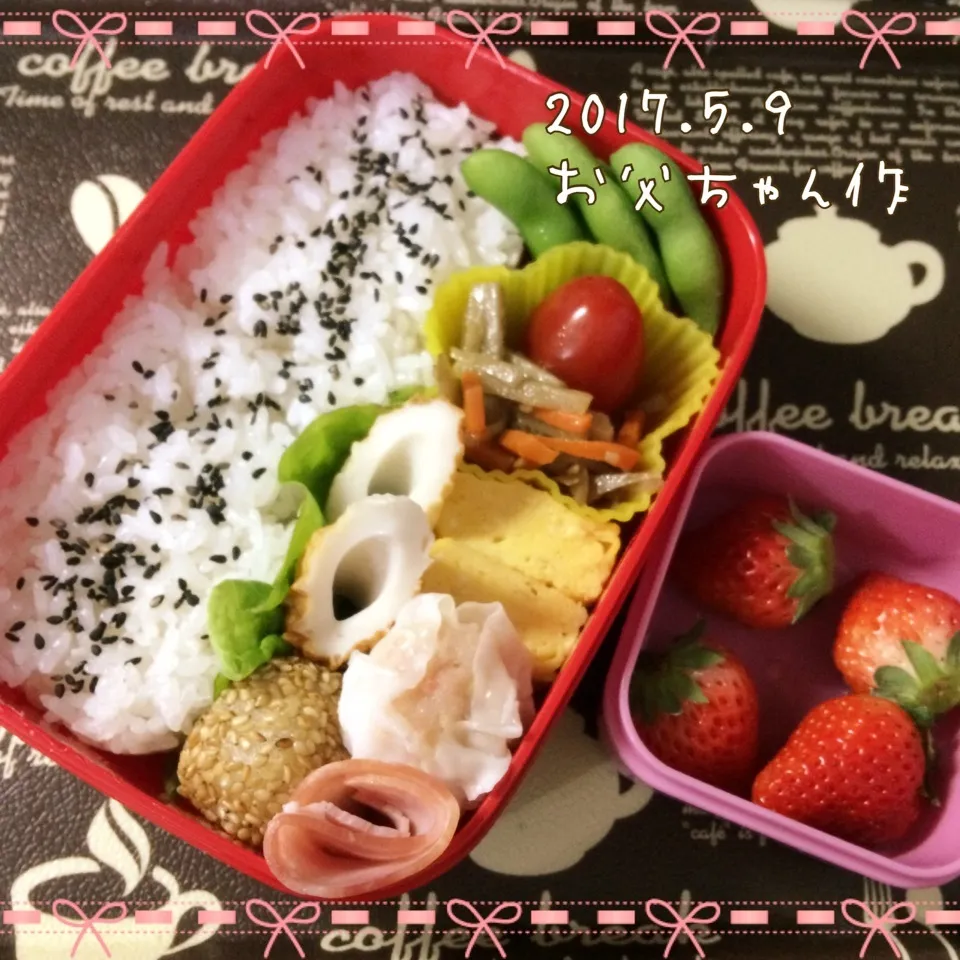 今日もお父ちゃん作娘っちのお弁当♪|Kayopichiさん