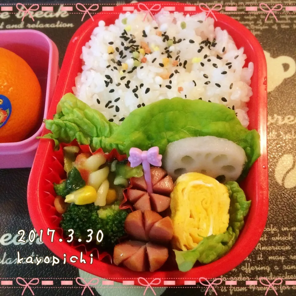 今日のお弁当~|Kayopichiさん