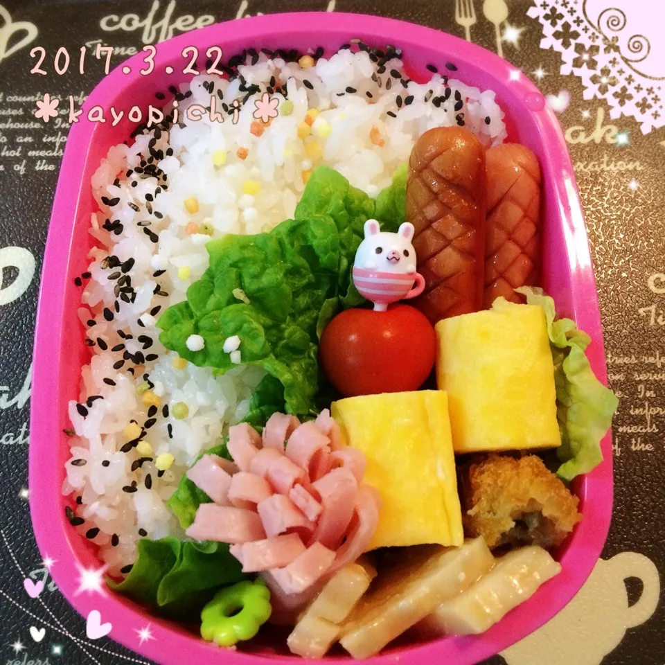 今日のお弁当~( Ꙭ )/''|Kayopichiさん