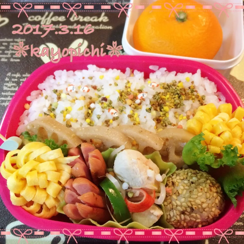 今日のお弁当😊🌼|Kayopichiさん