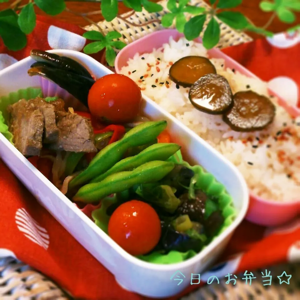 今日のお弁当8月12日(火)♪|おれくっしゃんさん