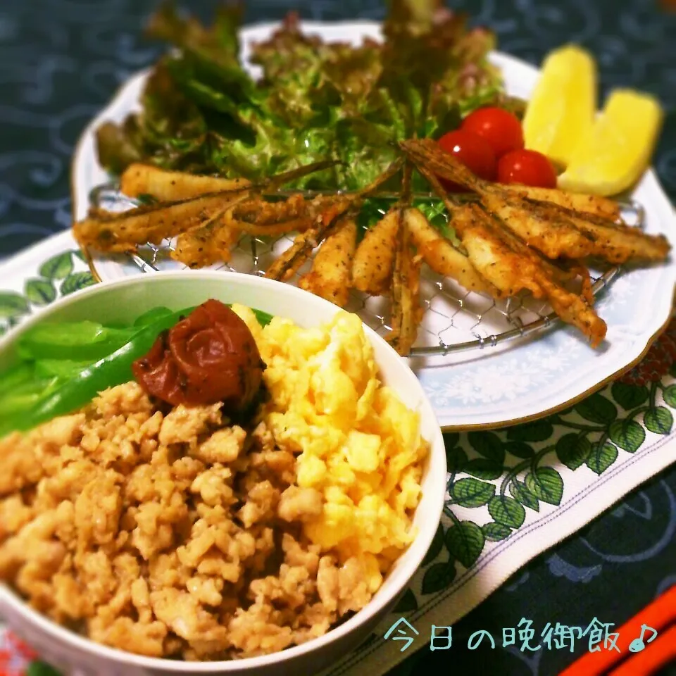 今日の晩御飯〜～そぼろ丼&がっちょの唐揚げ♬|おれくっしゃんさん