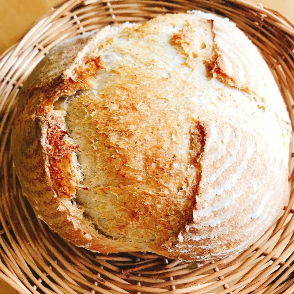 Sourdough Bread初挑戦！|ちくわぱん子さん