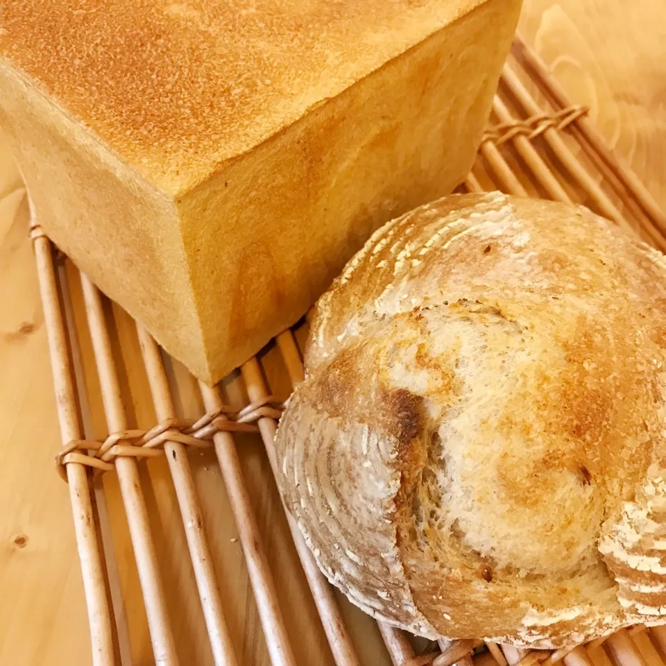 カクカクほしの角食と自家製酵母のカンパーニュ|ちくわぱん子さん