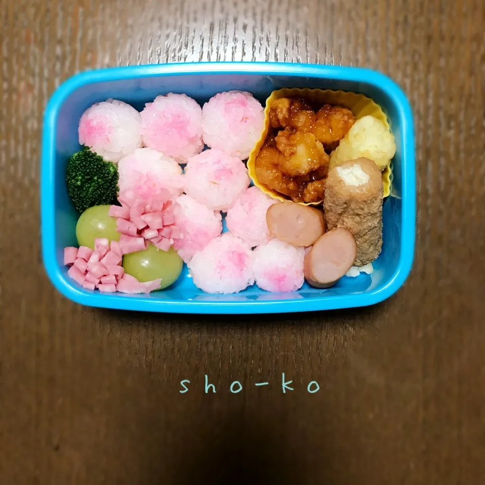 11/14(水) お弁当|sho-koさん