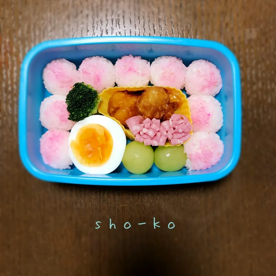 11/13(火) お弁当🍱|sho-koさん