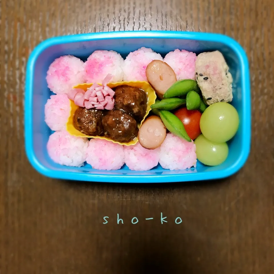 11/9(金) お弁当|sho-koさん