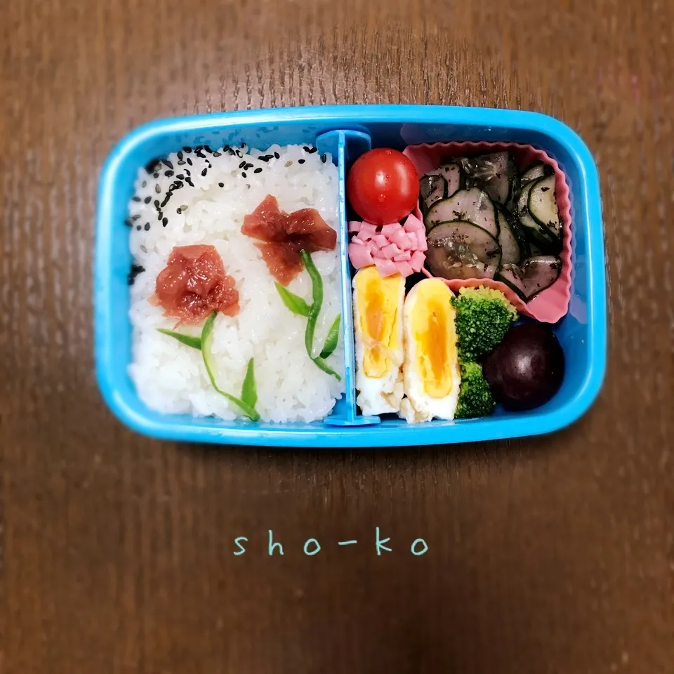 カーネーションお弁当|sho-koさん