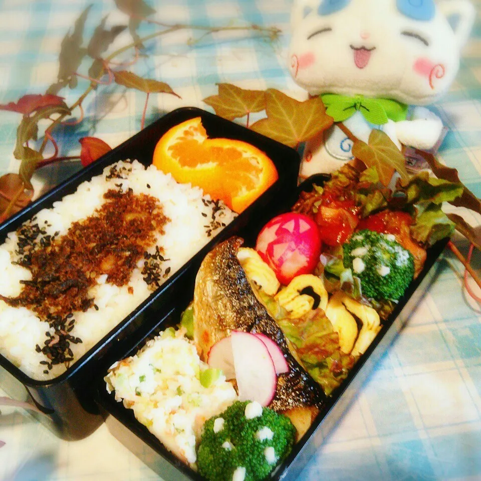 先日の旦那の夜勤のお弁当♪|ぷーはるひゅうさん