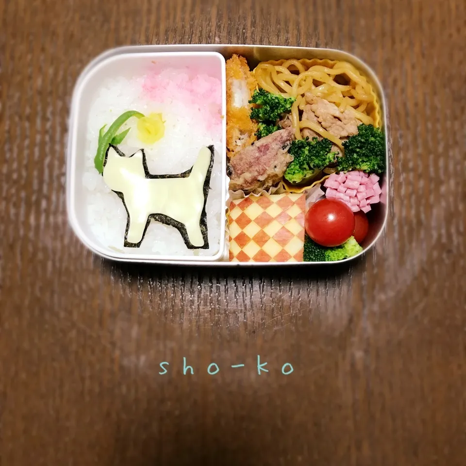 テクテク猫ちゃんお花見つけたよ🌼お弁当🌼|sho-koさん