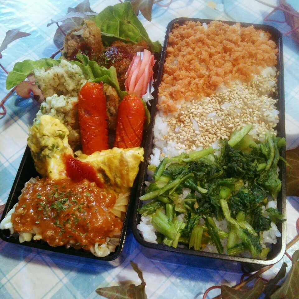 Snapdishの料理写真:旦那の夜勤のお弁当♪|ぷーはるひゅうさん