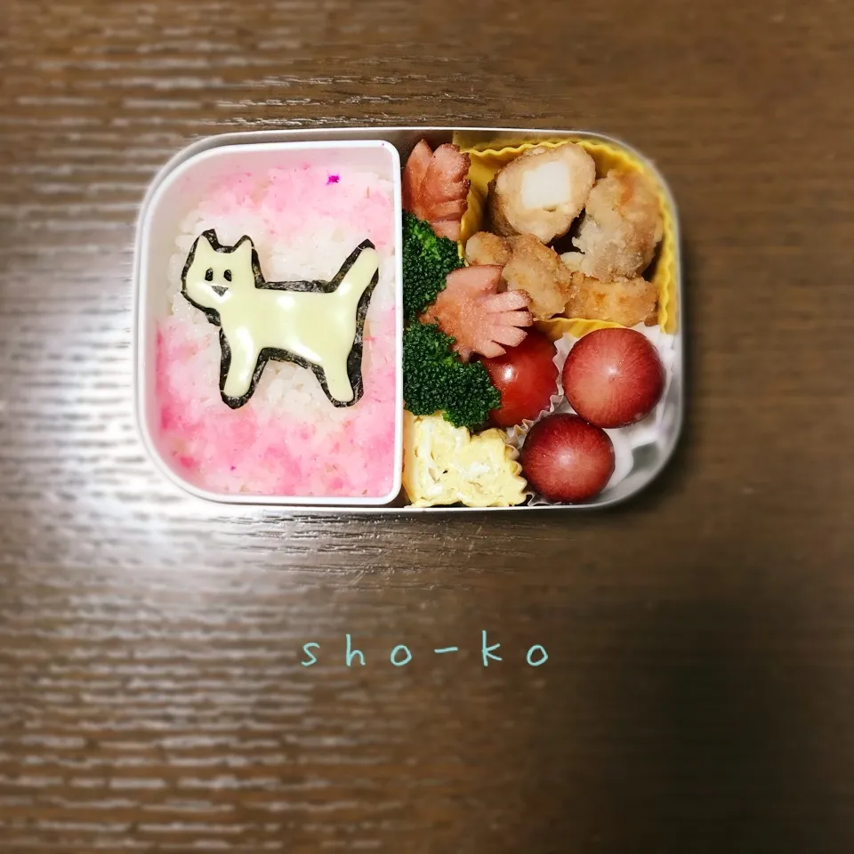 猫ちゃんお弁当🐈|sho-koさん