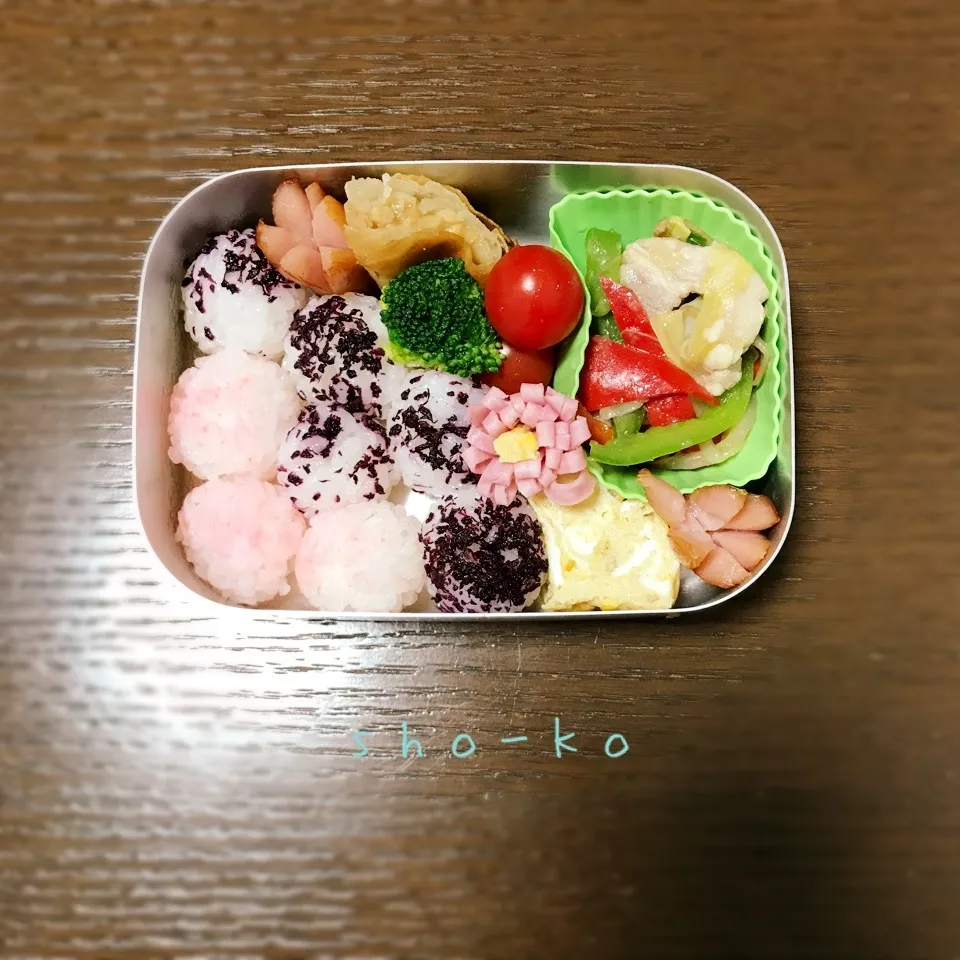 コロコロ2色おにぎりお弁当|sho-koさん