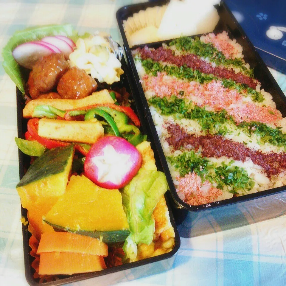 Snapdishの料理写真:旦那の夜勤のお弁当♪|ぷーはるひゅうさん