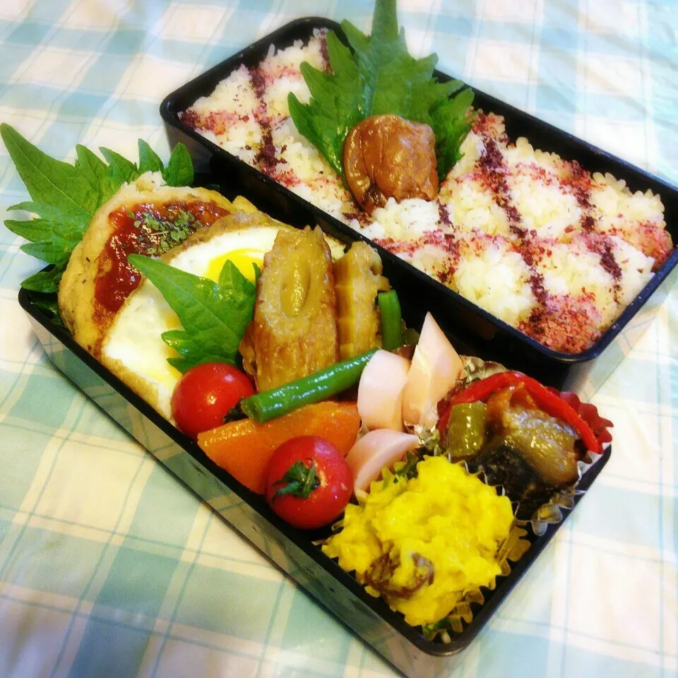 今日の旦那のお弁当♪|ぷーはるひゅうさん