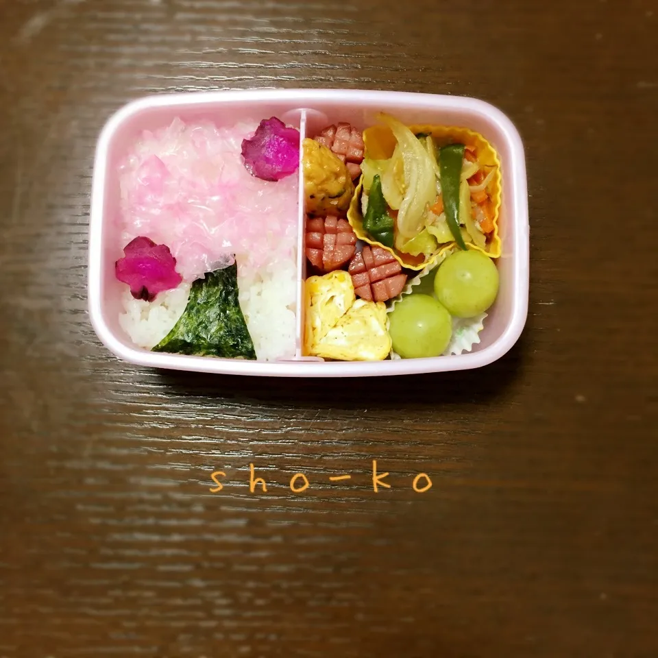 桜の木お弁当🌸|sho-koさん