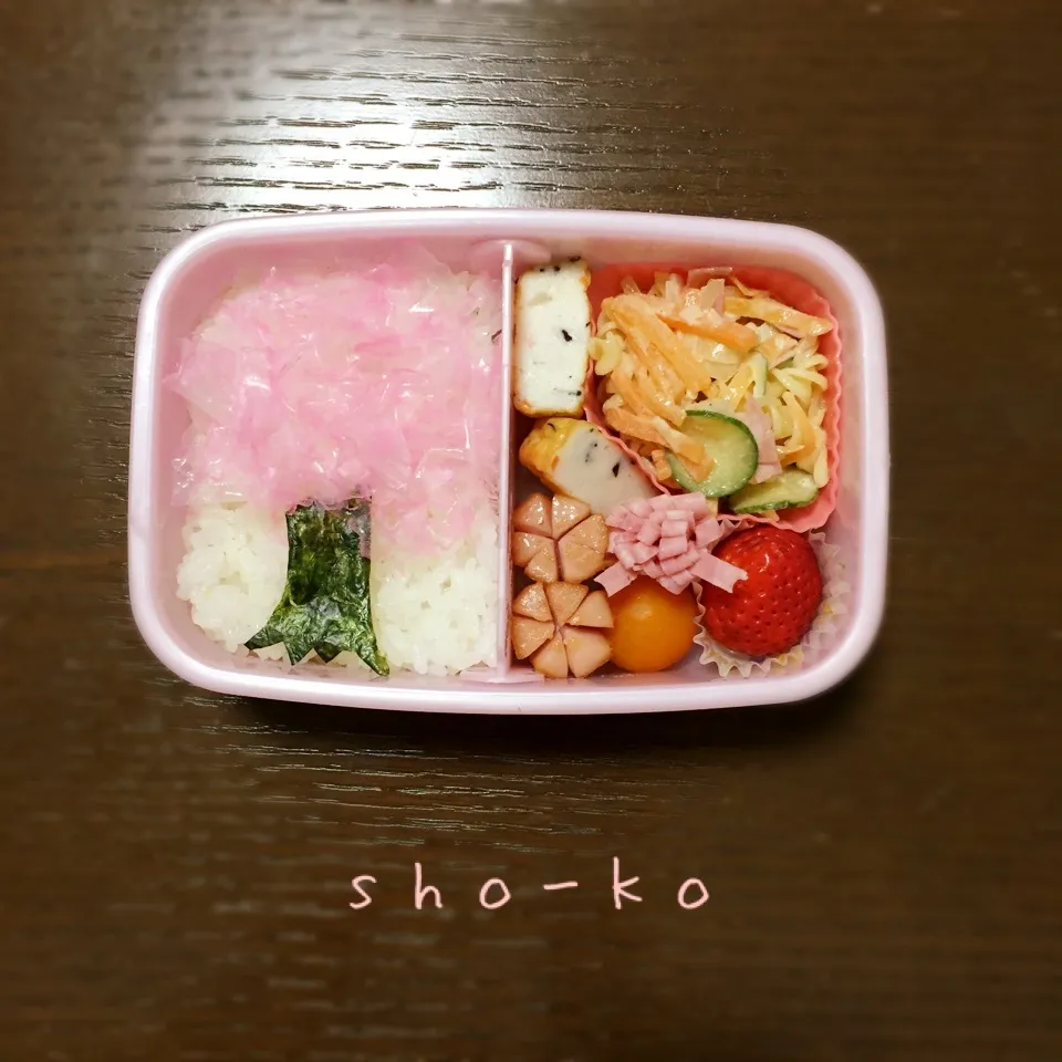 桜の木お弁当🌸|sho-koさん