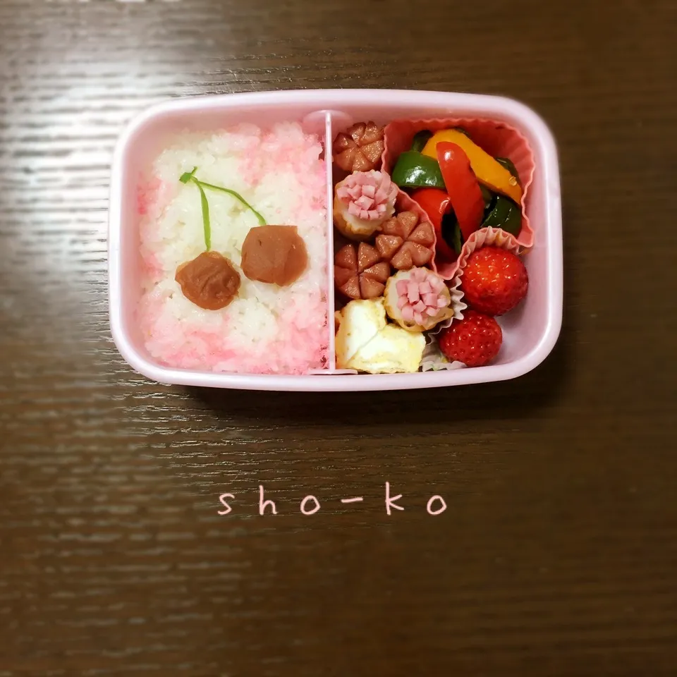 サクランボお弁当|sho-koさん