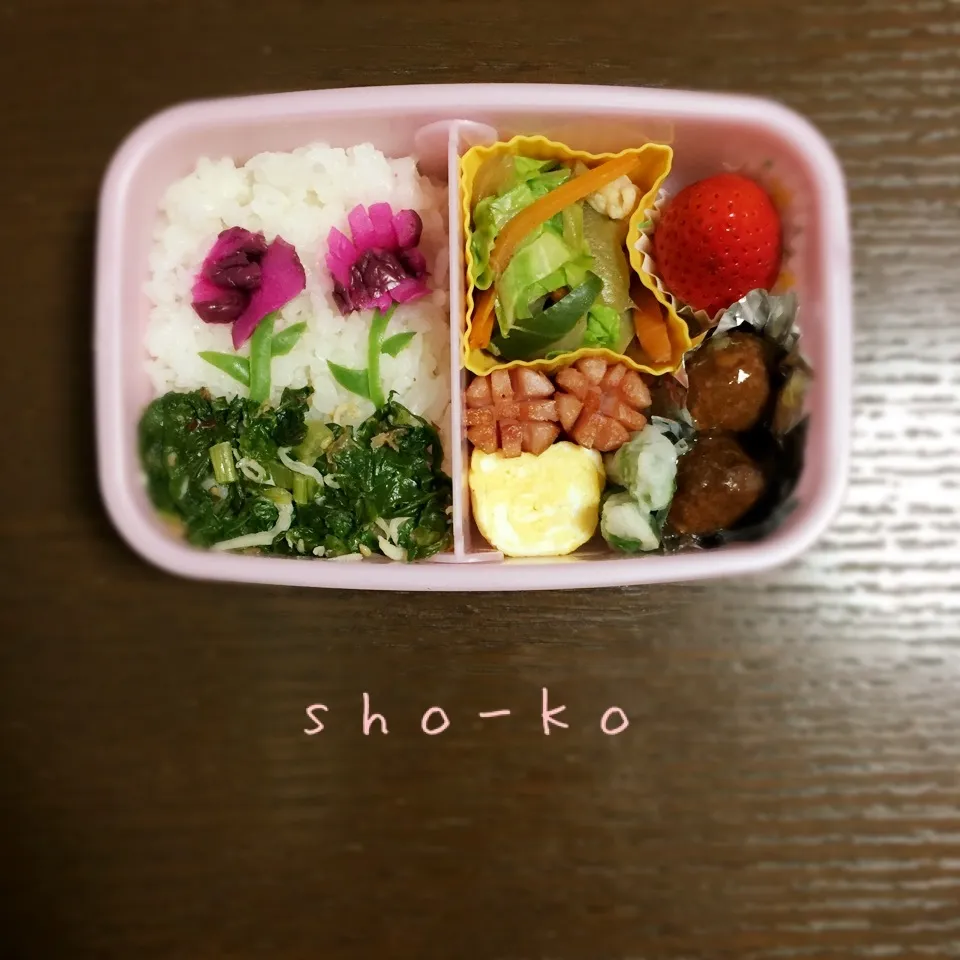 お花畑お弁当|sho-koさん