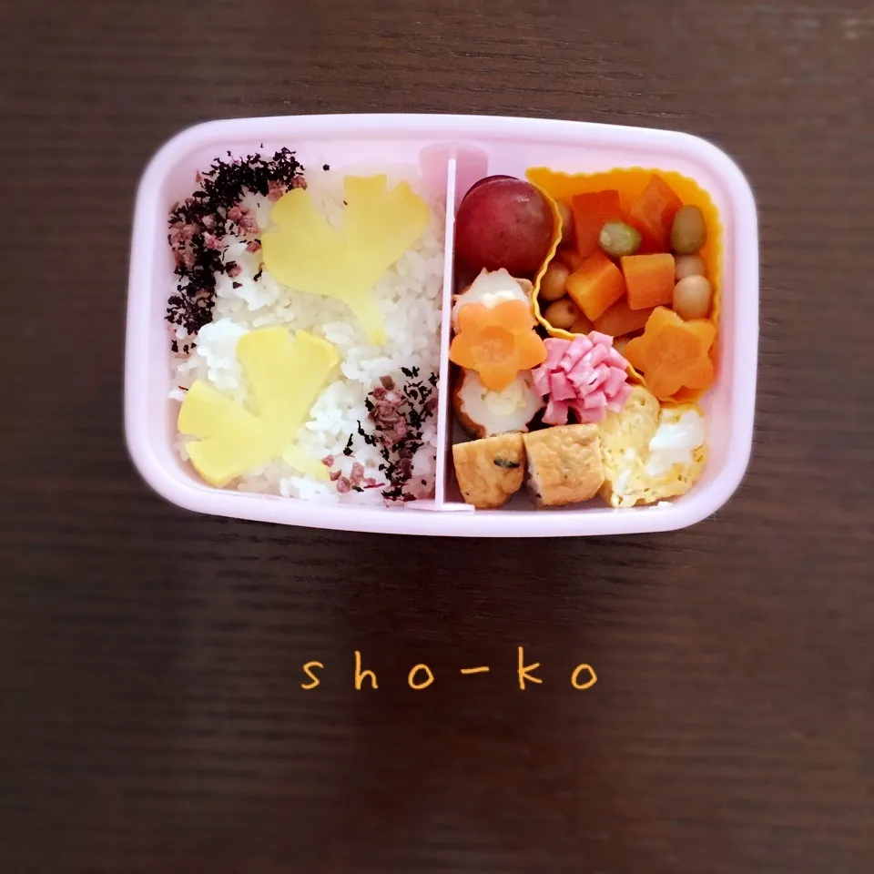 イチョウお弁当|sho-koさん