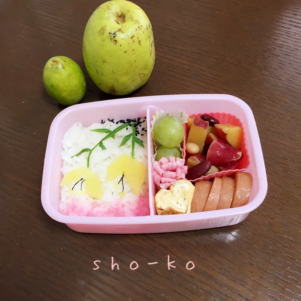 ぶら下がりお花お弁当|sho-koさん