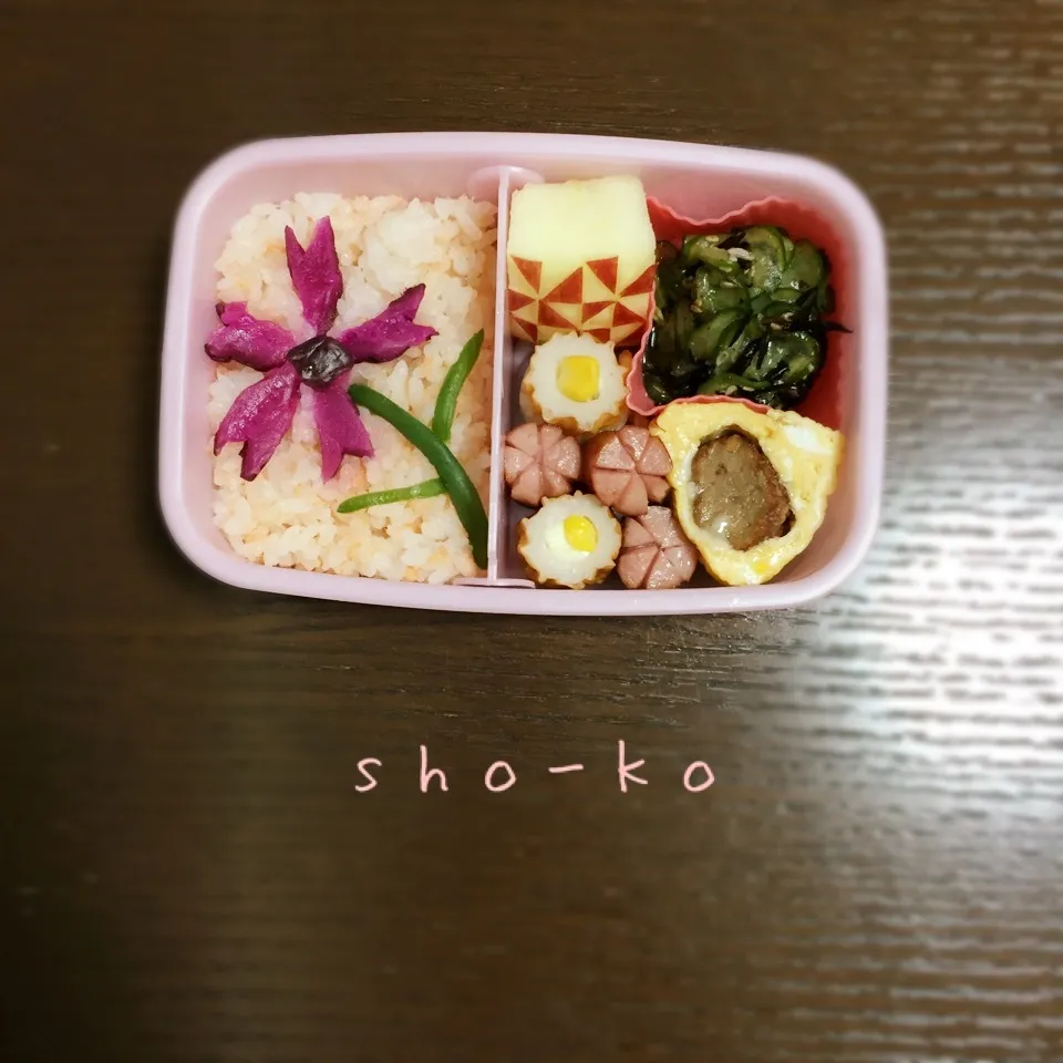 コスモスお弁当|sho-koさん