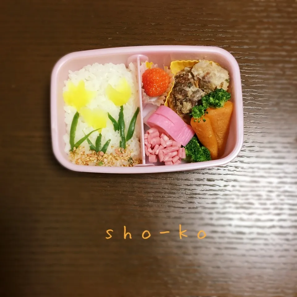 チューリップお弁当|sho-koさん