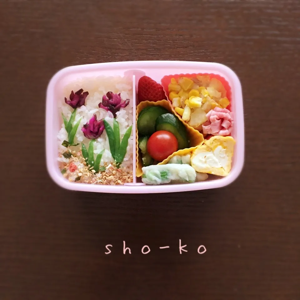 チューリップお弁当|sho-koさん