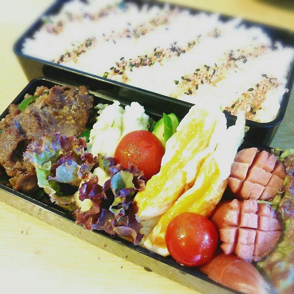 Snapdishの料理写真:旦那さんの夜勤のお弁当♪|ぷーはるひゅうさん