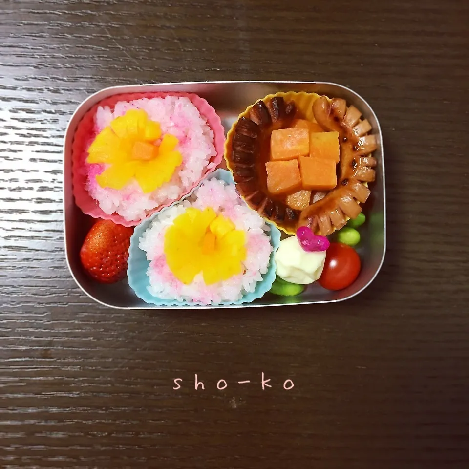 姫ちゃんお弁当|sho-koさん