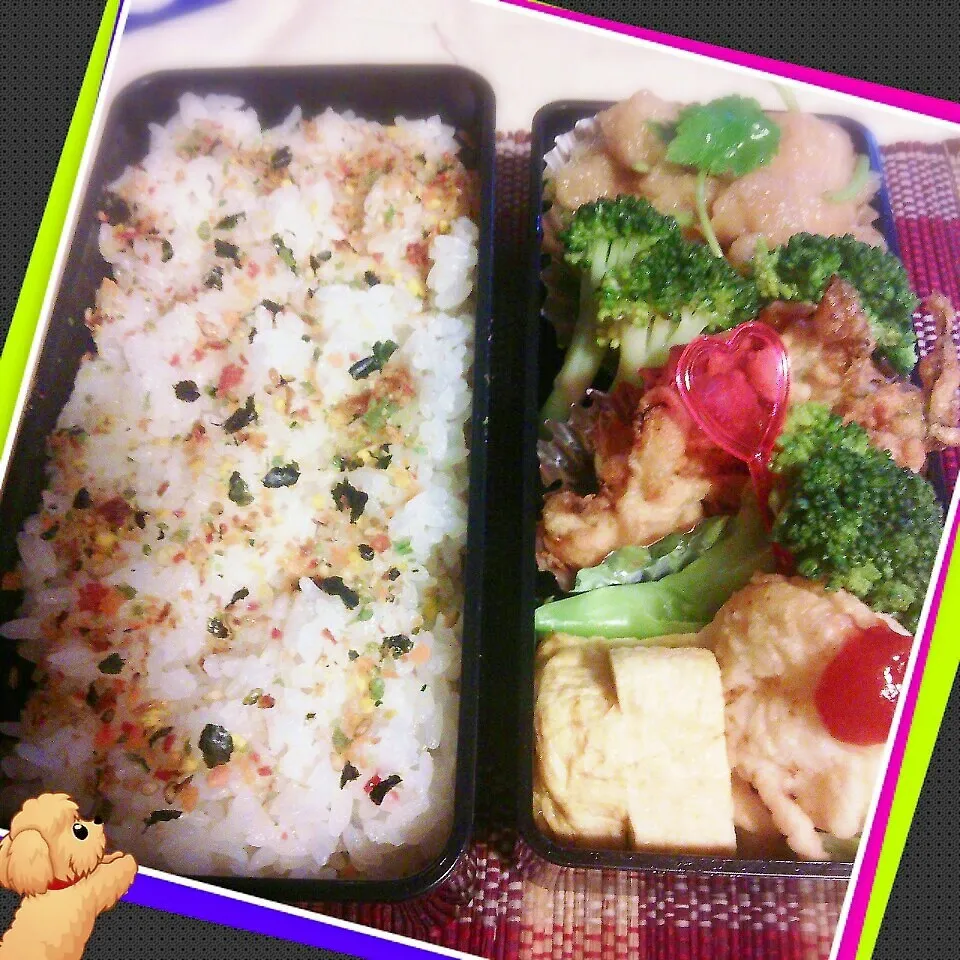 今日のお弁当！|ぷーはるひゅうさん