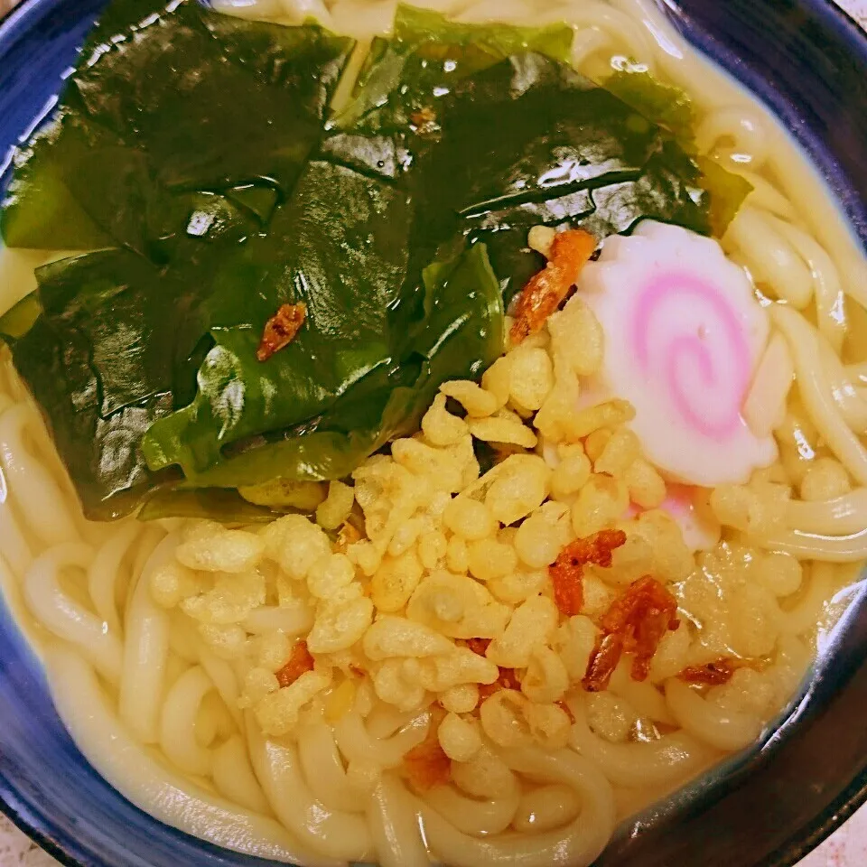 わかめうどん|ぽよさん