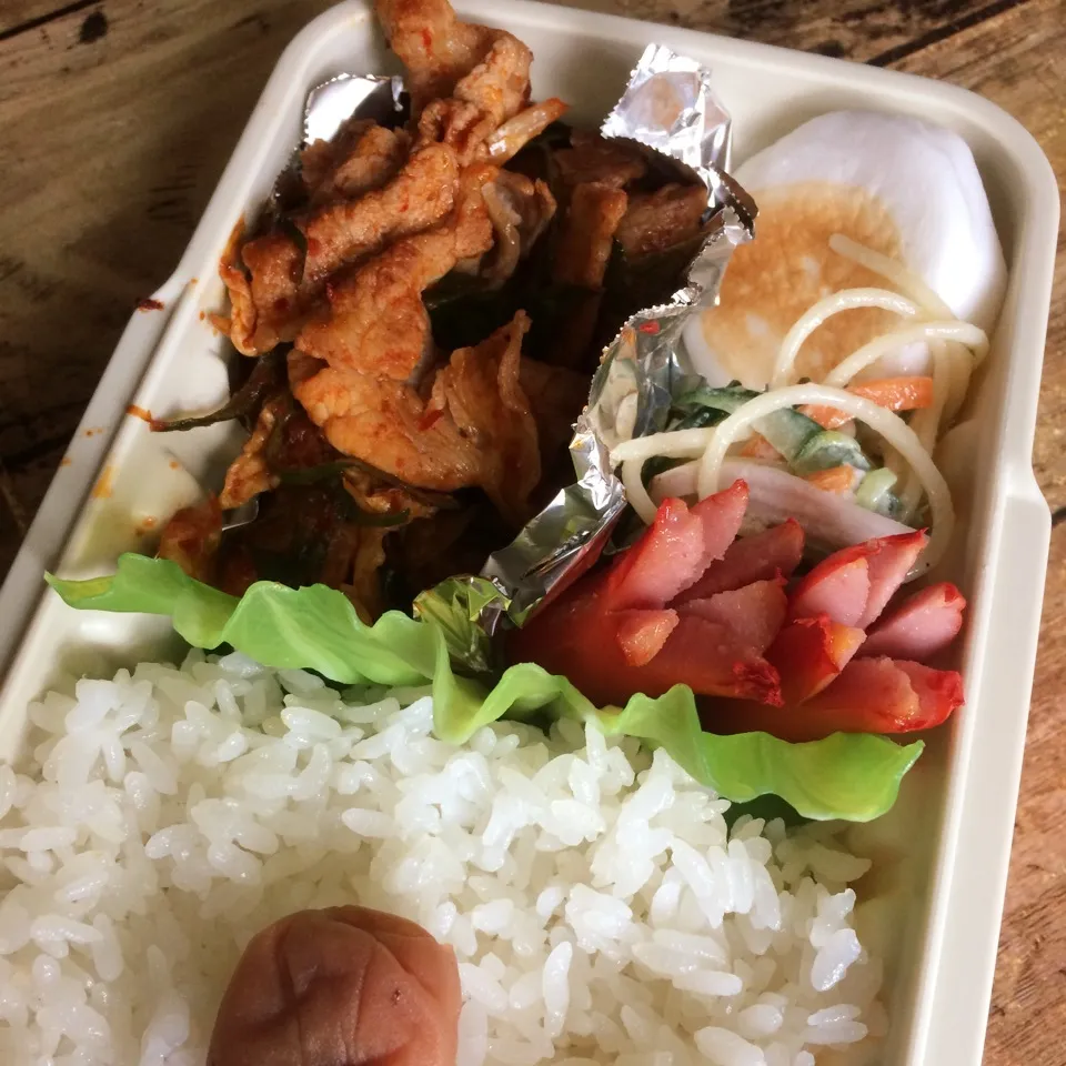 Snapdishの料理写真:7月19日パパのお弁当|みぃたんさん