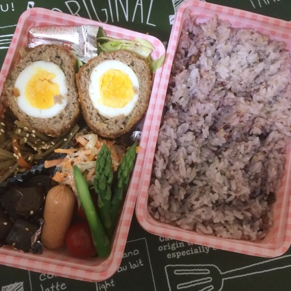 ゆうのお弁当|みぃたんさん