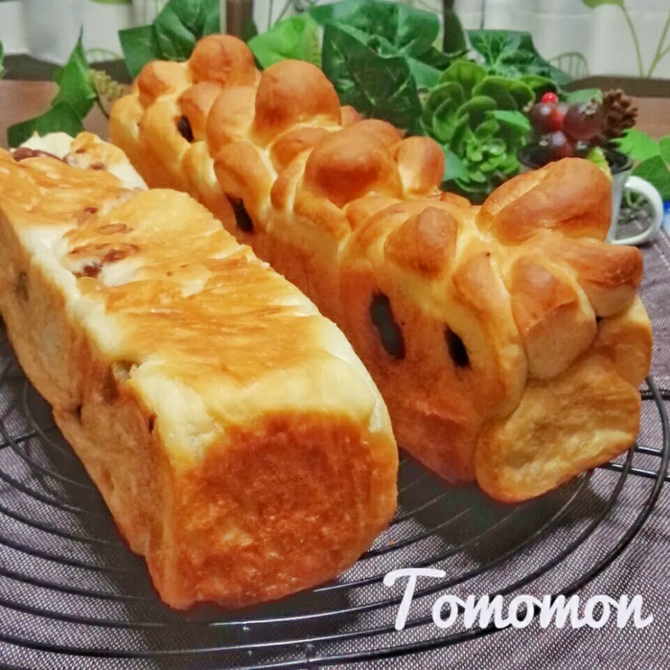 焼き納め♪スリム型でチョコとお豆のパン☆|とももんさん