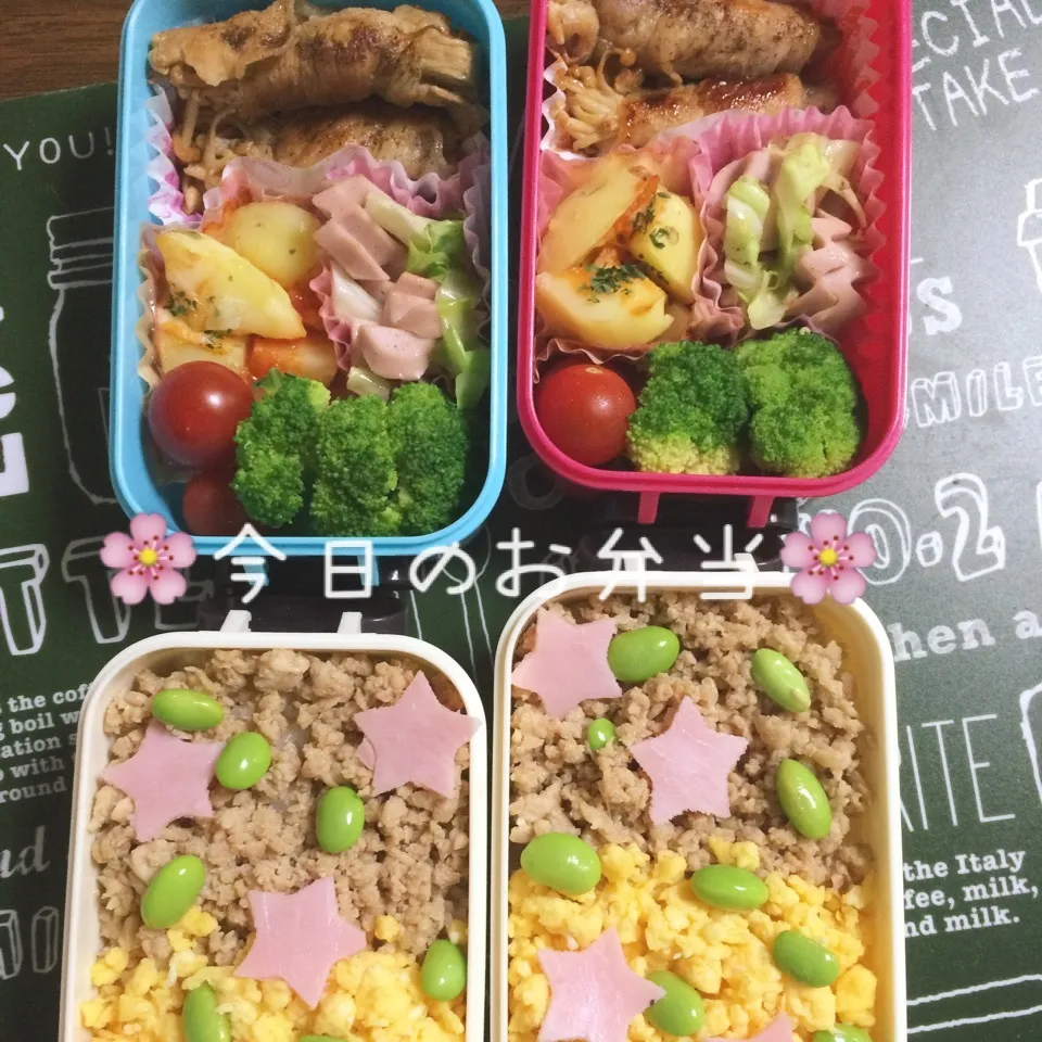 6月23日パパと娘のお弁当|みぃたんさん