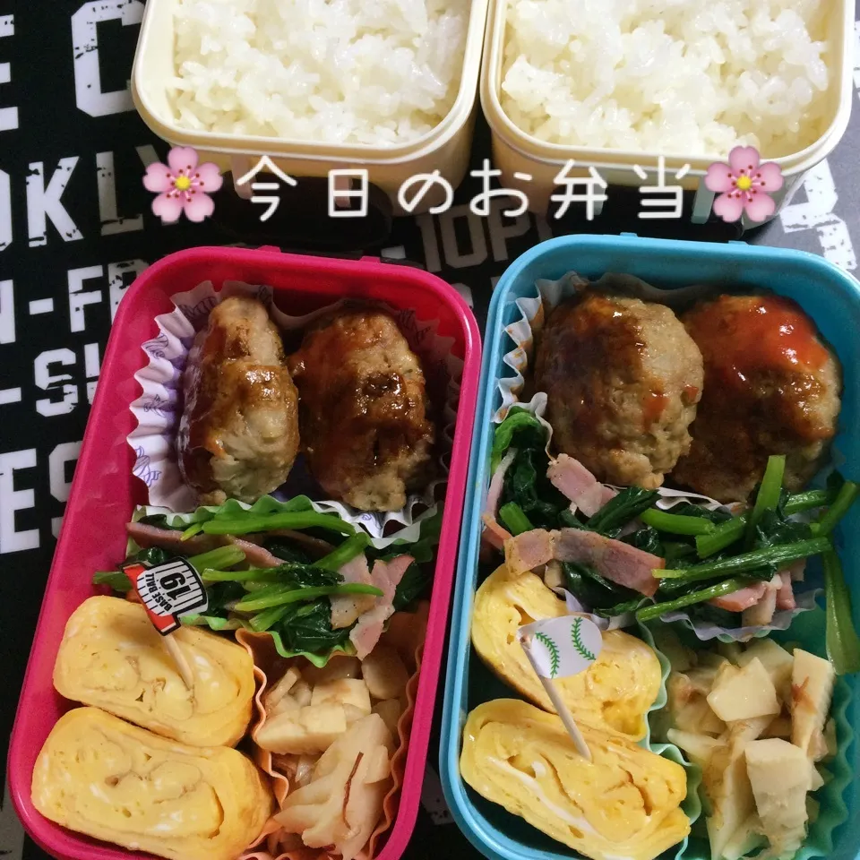 4月21日パパと娘のお弁当|みぃたんさん