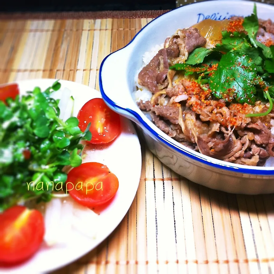 Snapdishの料理写真:牛丼と大根サラダ|nanapapa kitchenさん