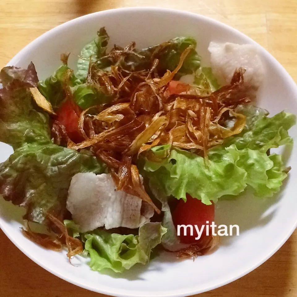 揚げゴボウと豚肉サラダ|みぃたんさん