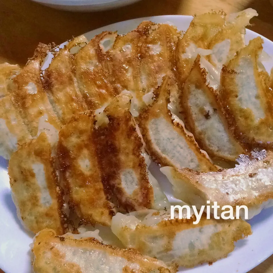 焼き餃子|みぃたんさん